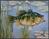 Posterizer 1 pcs- a pond and little bass fish-Art for Animal Lovers-Landscape & Nature Art- Living Room Bedroom Decor- unframed wall art...