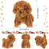 Sumind 9 Pcs Mini Plush Dog Stuffed Animals Bulk Dog Plush Party Favors Small Soft Plush Dog Toy for Goodie Bag Fillers Kids Baby Show Birthday Va...