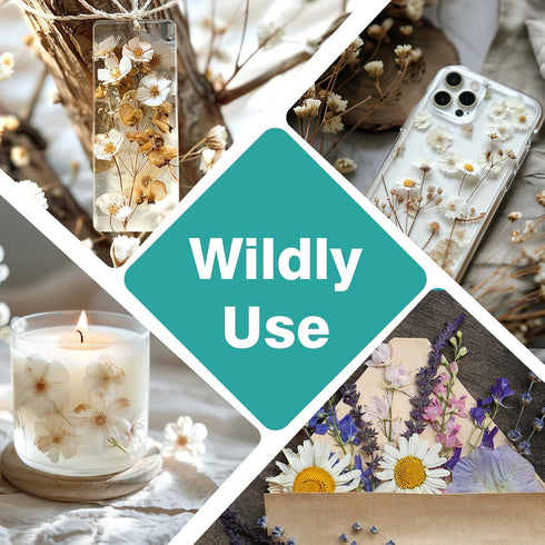 Resiners 100Pcs Dried Pressed Flowers for Resin Molds, White Real Natural Dried Flowers Dry Leaves kit for Wedding Scrapbook Supplies Card Making ...