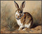 Posterizer 1 pcs- Brown and white rabbit oil painting style-Art for Animal Lovers- Gift for Men Women Entrepreneur Teens-Decor for Home & Office- ...
