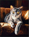 Posterizer 1 pcs-beautiful cat-kitty in the house art 3-Art for Animal Lovers Gift for Men Women Entrepreneur Teens Decor for Home & Office- unf...