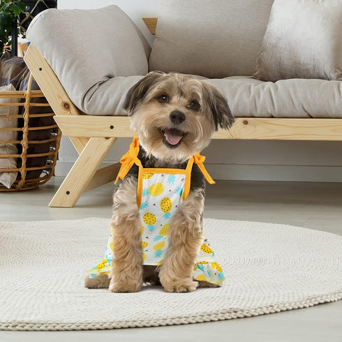 4 Pieces Pet Clothes Set Include 2 Pieces Cute Pet Dress Lovely Fruit Dog Dress and 2 Pieces Dog Shirt Breathable Pet T-Shirt Puppy Clothes Shirt ...
