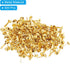 PATIKIL 400 PCS Paper Brass Fasteners Split Pins Pastel Mini Metal Brads Round Head Plated Fastener for Craft Art Scrapbooking DIY Supplies, Gold,...