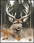 Posterizer 1 pcs- A deer in Autumn with the background of tall trees-Art for Animal Lovers-Landscape & Nature Art- Gift for Men Women Teens-Decor ...