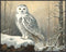 Posterizer 1 pcs-snowy winter scene of a white owl-oil painting style 3-Art for Animal Lovers-Landscape & Nature Art-Decor for Home & Office- unfr...