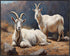 Posterizer 1 pcs- Two beautiful goats in nature-Art for Animal Lovers- Gift for Men Women Entrepreneur Teens-Decor for Home & Office- unframed wal...