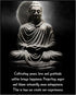 Posterizer 1 pcs-Cultivate Peace, Love & Gratitude For Happiness-Quotes-Motivational & Inspirational Art-Gift For Buddhism Meditation philosophy F...