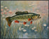 Posterizer 1 pcs- cute bass fish with nature background-Art for Animal Lovers-Landscape & Nature Art- Living Room Bedroom Decor- unframed wall art...