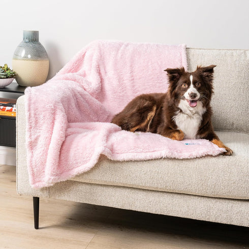 PetAmi Dog Blanket for Small Medium Dogs Pink, Fluffy Soft Puppy Blanket, Sherpa Fleece Cat Blanket for Kitten Doggie, Calming Pet Blanket Throw f...