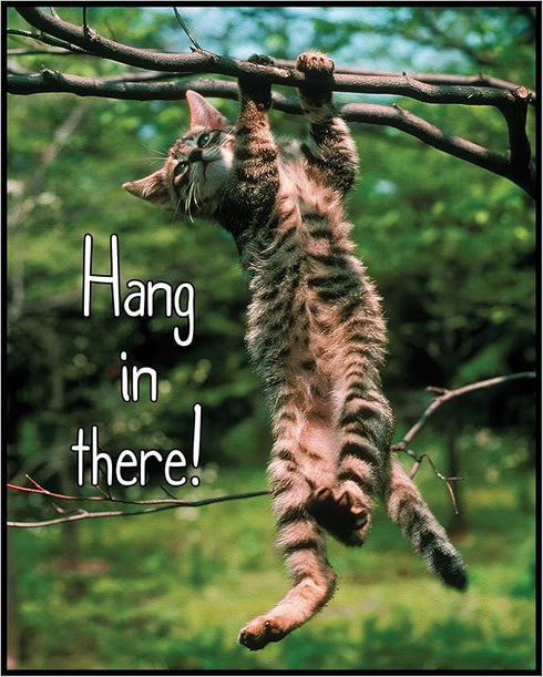 Posterizer 1 pcs-Cute Cat-Kitten-Hang in there-Art for Animal Lovers-Comedy Art- decor for Bedroom, Office, Living Room - unframed wall art...