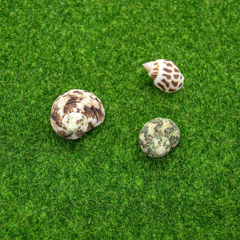 AUEAR, Artificial Garden Grass Life-Like Lawns Squares Fake Fairy Grass Mats Fake Turf Patch Ornament Garden Grass Decoration (3 Pack, 12"x12")...