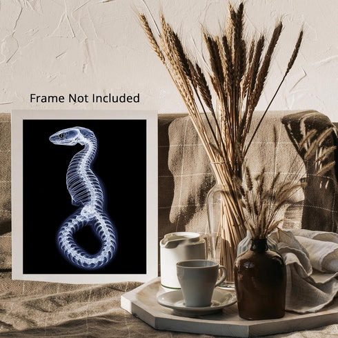Posterizer 1 pcs-abstract reptile X-ray art -2-Art for Animal Lovers Gift for Steampunk or Goth Fans Living Room Bedroom Decor- unframed wall art...