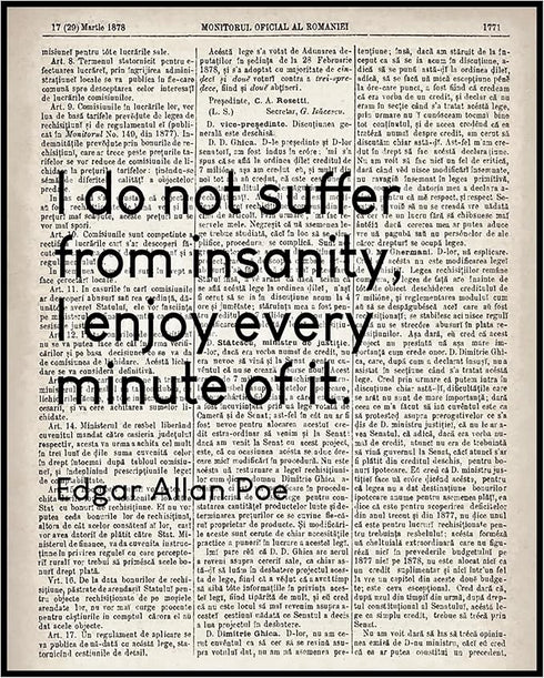 Posterizer 1 pcs-Edgar Allan Poe-I Don't Suffer From Insanity-Dictionary Print-Quotes-Typography Art-Gift for book lovers-- unframed wall art...