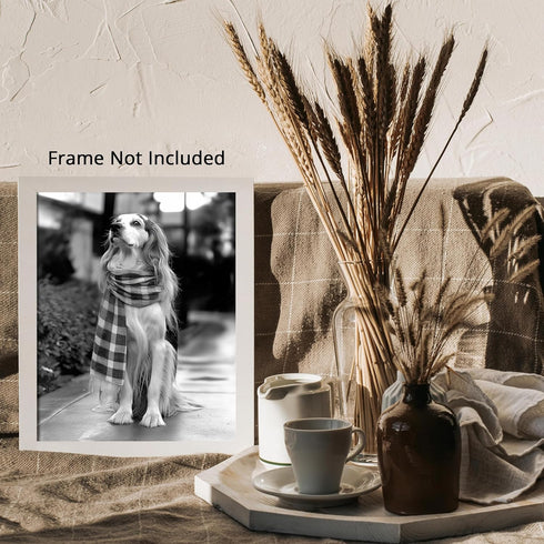 Posterizer 1 pcs-black and white photo of a long haired dog with a scarf-Art for Animal Lovers-Gift for Men Women Teens-Decor for Home & Office- u...