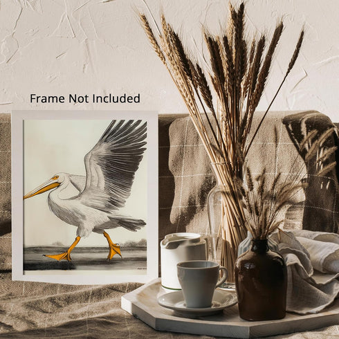 Posterizer 1 pcs-White Pelican detailed art work 3-Art for Animal Lovers-Collectibles & Fine Art-Decor for Home & Office- unframed wall art...