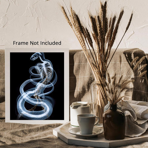 Posterizer 1 pcs-abstract reptile X-ray art -3-Art for Animal Lovers Gift for Steampunk or Goth Fans Living Room Bedroom Decor- unframed wall art...