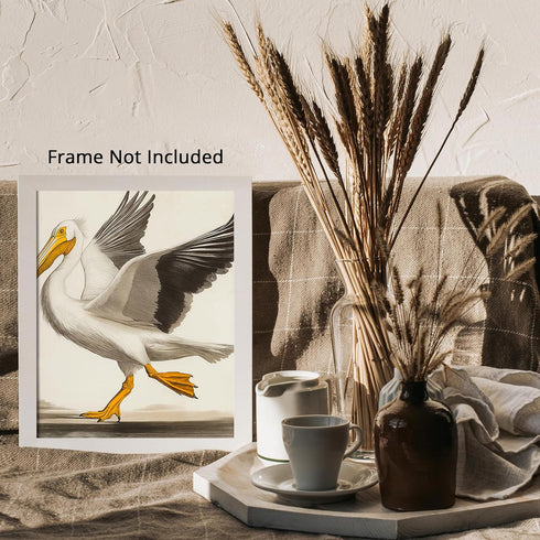 Posterizer 1 pcs-White Pelican detailed art work 2-Art for Animal Lovers-Collectibles & Fine Art-Decor for Home & Office- unframed wall art...