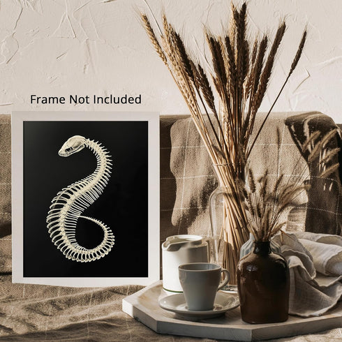 Posterizer 1 pcs-abstract reptile X-ray art -1-Art for Animal Lovers Gift for Steampunk or Goth Fans Living Room Bedroom Decor- unframed wall art...