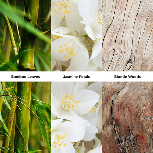 Revlon Women's Perfume Fragrance, Reign On, Eau de Toilette Spray, 8 Fl Oz...