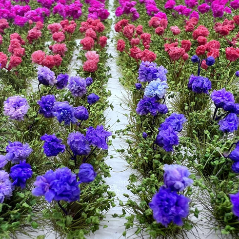 Woohome Flower Cluster Flower Vegetation Groups Grass Tufts Miniature Static Scenery for DIY Architecture Building Model Railway Train Diorama Gar...