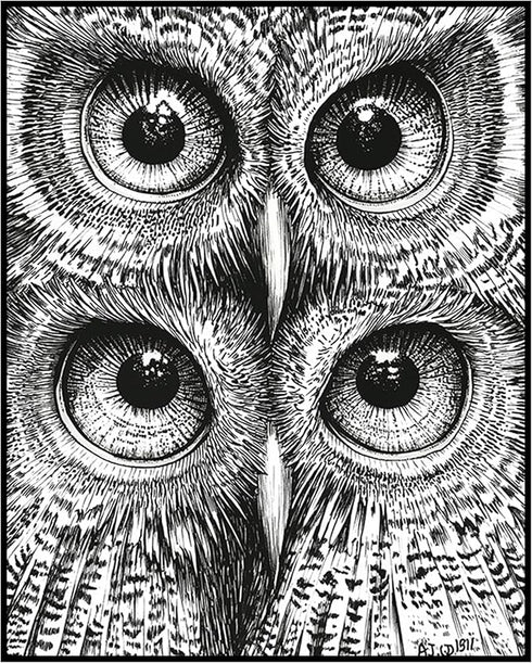 Posterizer 1 pcs-black and white owls-chic animal design poster 2-Art for Animal Lovers-Gift for Men Women Teens-Chic Home Decor- unframed wall ar...