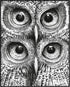 Posterizer 1 pcs-black and white owls-chic animal design poster 2-Art for Animal Lovers-Gift for Men Women Teens-Chic Home Decor- unframed wall ar...
