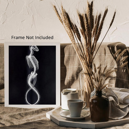 Posterizer 1 pcs-abstract reptile X-ray art -4-Art for Animal Lovers Gift for Steampunk or Goth Fans Living Room Bedroom Decor- unframed wall art...