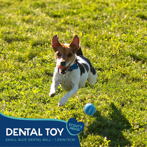 Small Rubber Dental Ball Dog Toy for Chewing, Best Dog Toy for Fetch, Chew Toy for Puppies & Adult Dogs, Dog Toy for Medium & Large Dogs with Rubb...