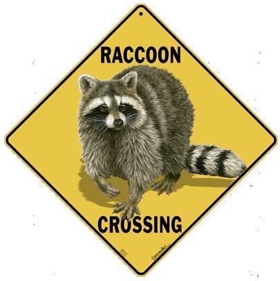 CROSSWALKS Raccoon Crossing 12" X 12" Aluminum Sign (X426)