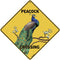 CROSSWALKS Peacock Crossing 12" X 12" Aluminum Sign (X218)