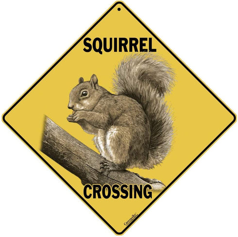 CROSSWALKS Squirrel Crossing 12" X 12" Aluminum Sign (X315)
