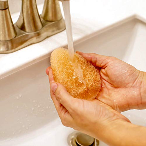 10 Pack Facial Sponge for Daily Cleansing and Gentle Exfoliating - Buff Puff Style Exfoliating Pads for Removing Dead Skin, Dirt and Makeup - Reusable Puf, Made in The USA