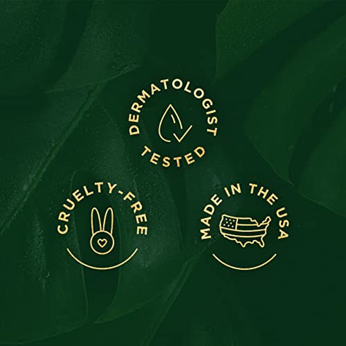 Tree of Life Anti-Aging Luxe Evening Youth Facial Serum | Age Defying Face and Skin Care, 1 Fl Oz