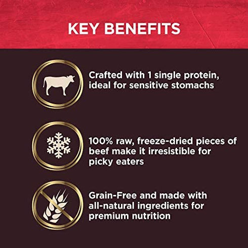 Wellness CORE Natural Grain Free Bare Bowl Boosters Tender Dog Food Mixer Or Topper (Beef, 4-Ounce Bag)