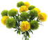 Yalulu 10 Pcs Dandelion Artificial Flowers Plants Bouquet Plastic Flower for Home Decoration/Wedding Decor (Green)