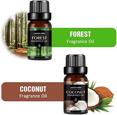 Fragrance Essential Oil - Organic 6pc Holiday Breeze Scent Gift Set - Perfect for Candle Making, Soap Scents, Slime - Oils for Diffuser, Humidifier, Aromatherapy, Aroma Beads, Car Freshener (10mL)