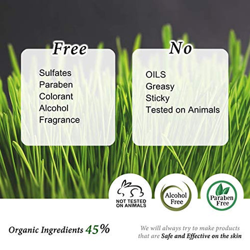 Vitamin C Facial Serum with L-Ascorbic Acid 15% with Vitamin B5 - for Fades Age Spots, Smoothing Fine Lines + Dark Spots, Pore Refining, Resurfacing, 1 Fl Oz (30ml)