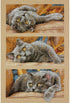 Dimensions 70-35301 Max the Cat Counted Cross Stitch Kit, 14 Count Beige Aida, 10" x 15"