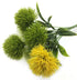 Yalulu 10 Pcs Dandelion Artificial Flowers Plants Bouquet Plastic Flower for Home Decoration/Wedding Decor (Green)