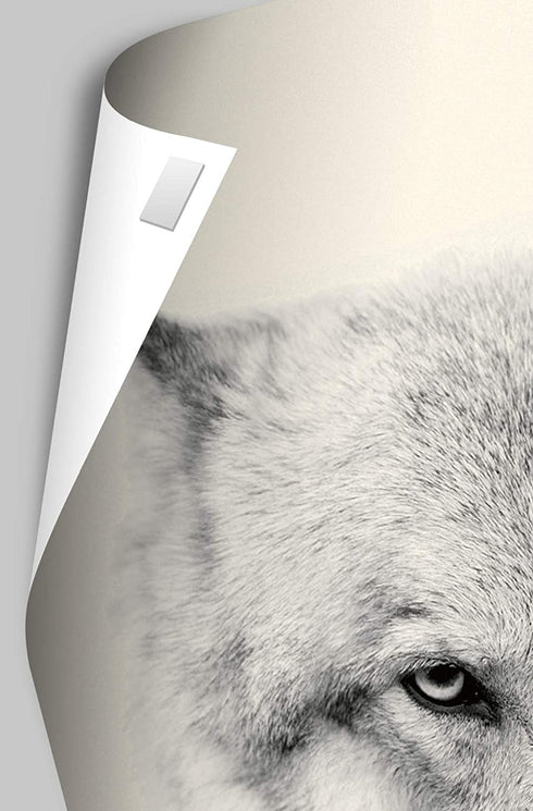 Trends International Stitch-Ordinary Mount Bundle Wall Poster, 22.375" x 34", Multi