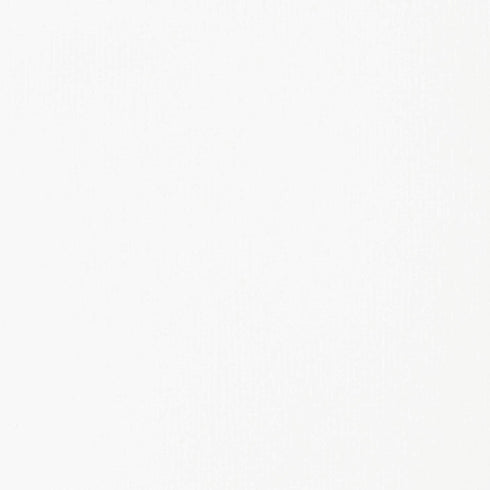 Liquitex BASICS Acrylic Paint, 8.45-Oz Tube, Titanium White