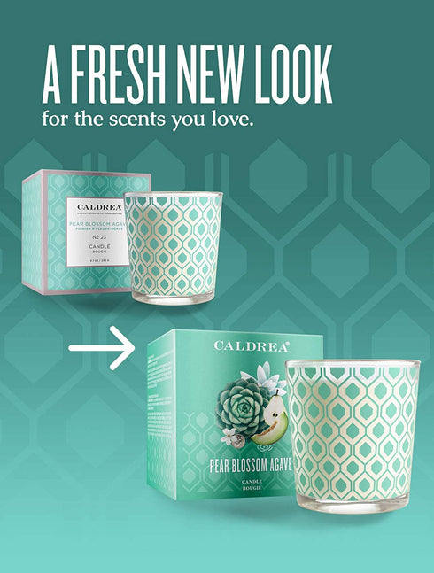 Caldrea Scented Candle, Made with Essential Oils and Other Thoughtfully Chosen Ingredients, 45 Hour Burn Time, Pear Blossom Agave Scent, 8.1 oz (Packaging May Vary)