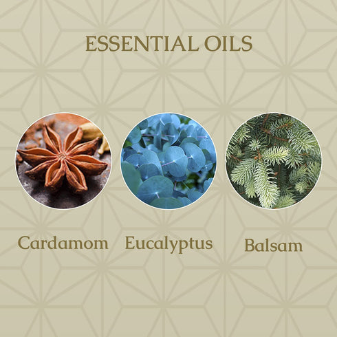 Caldrea Hand Lotion, For Dry Hands, Made with Shea Butter, Aloe Vera, and Glycerin and Other Thoughtfully Chosen Ingredients, Gilded Balsam Birch Scent, 10.8 oz (Packaging May Vary)