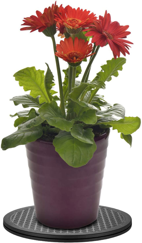 (2 Pack) 12 Inch Heavy Duty Rotating Swivel Stand with Steel Ball Bearings - Lazy Susan Turntable for Flat Panel Monitors, Potted Plants,TV's, Stereo Speakers