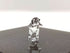 Sansukjai Rare Dog Tiny Micro Crystal Figurines Hand Blown Clear Glass Art Animals Collectible Dog-Lover Gift Home Decor (N)