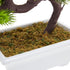 Artificial Bonsai Tree , Fake Plant Decoration, Potted Artificial House Plants, Japanese Pine for Desktop, Zen Garden, Home Decor (10 x 9.4 in)
