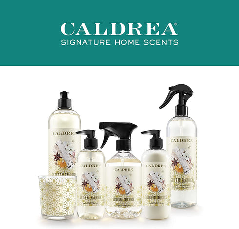 Caldrea Hand Lotion, For Dry Hands, Made with Shea Butter, Aloe Vera, and Glycerin and Other Thoughtfully Chosen Ingredients, Gilded Balsam Birch Scent, 10.8 oz (Packaging May Vary)