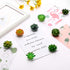 16 Pieces Cactus Succulent Refrigerator Magnets Plant Fridge Magnets Funny 3D Resin Stickers for Office Kitchen House