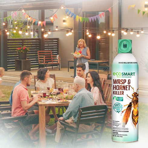 EcoSmart Natural, Plant-Based Essential Oil Wasp and Hornet Killer, 9 Ounce Aerosol Spray Can