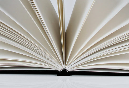 Canson Artist Series Sketch Book Paper Pad, for Pencil and Charcoal, Acid Free, Hardbound, 65 Pound, 8.5 x 11 Inch, 108 Sheets